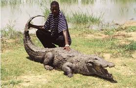 Ani Ozalla Crocodile Lake